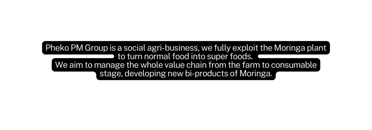 Pheko PM Group is a social agri business we fully exploit the Moringa plant to turn normal food into super foods We aim to manage the whole value chain from the farm to consumable stage developing new bi products of Moringa